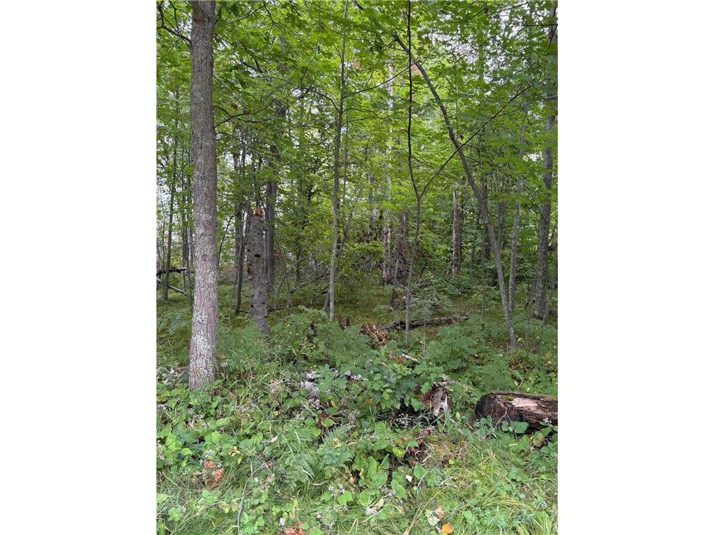 TBD Lots 111 & 112 Terminal Road Breezy Point MN 56472 6793972 image3