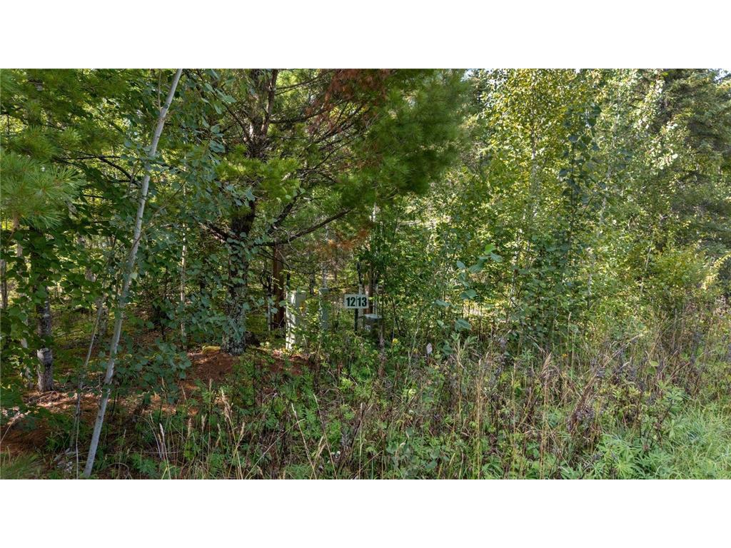 TBD Lots 13 & 14 B2 Pine Tree Lane Coleraine MN 55722 - Trout 6777030 image9