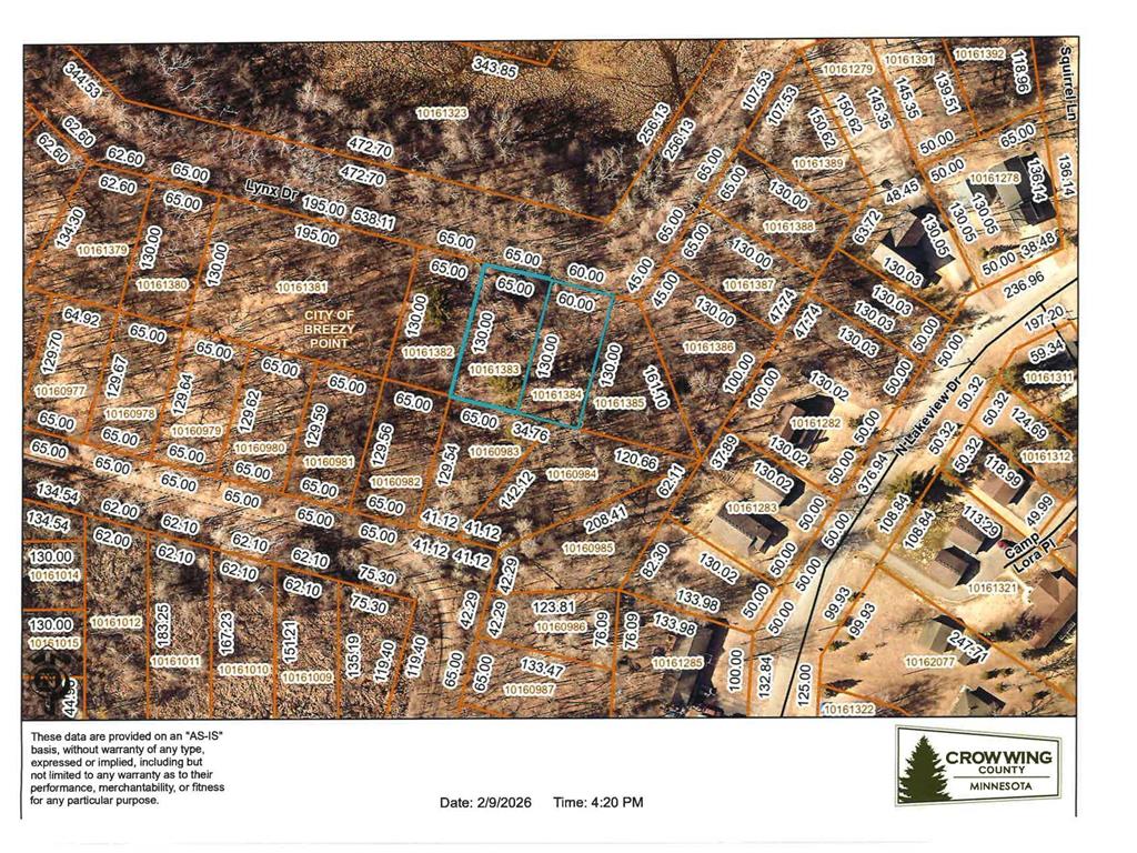 TBD Lots 200 & 201 Lynx Drive Breezy Point MN 56472 7055257 image2