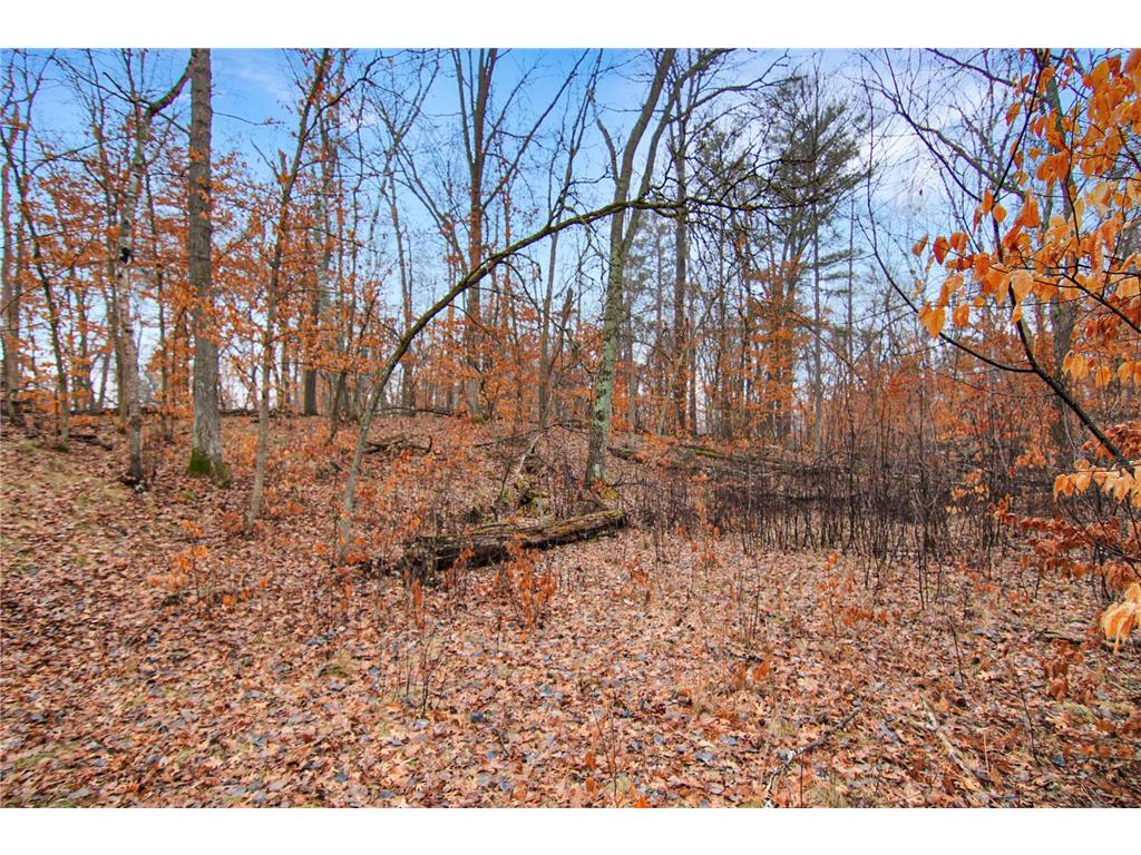TBD Lots 200 & 201 Lynx Drive Breezy Point MN 56472 7055257 image4