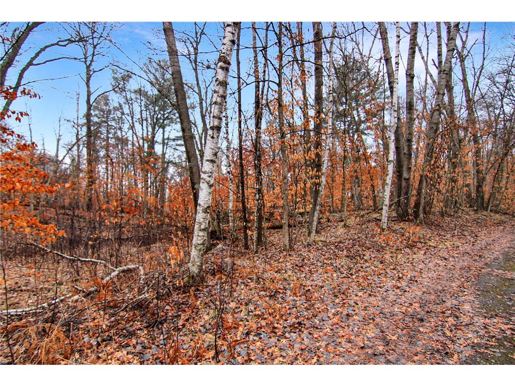 TBD Lots 200 & 201 Lynx Drive Breezy Point MN 56472 7055257 image5