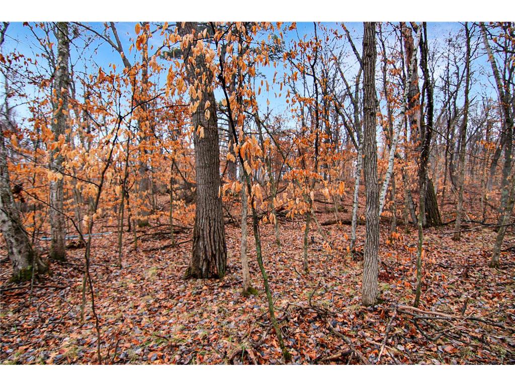 TBD Lots 200 & 201 Lynx Drive Breezy Point MN 56472 7055257 image6