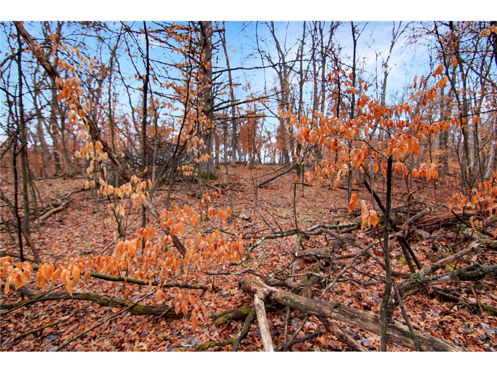 TBD Lots 200 & 201 Lynx Drive Breezy Point MN 56472 7055257 image7
