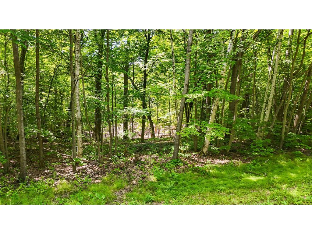 TBD Lots B & C 389th Avenue Aitkin MN 56431 - Ripple 6750859 image15