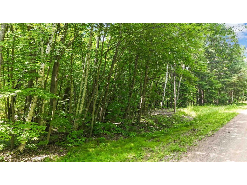 TBD Lots B & C 389th Avenue Aitkin MN 56431 - Ripple 6750859 image17