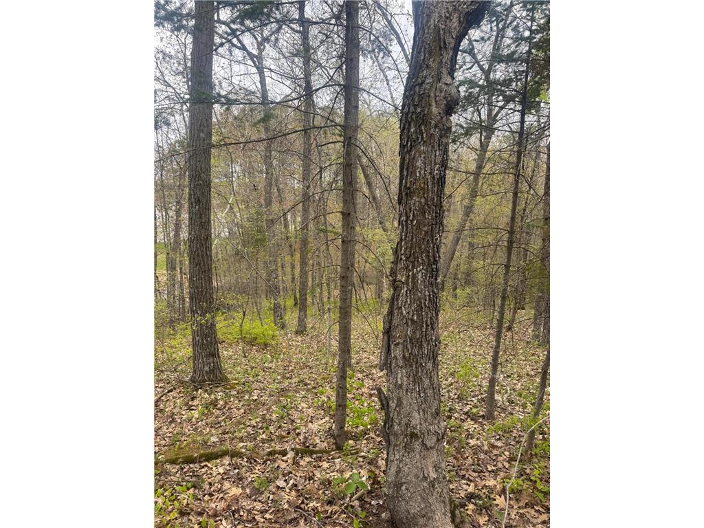 TBD MN-18 Garrison Twp MN 56401 6812672 image5
