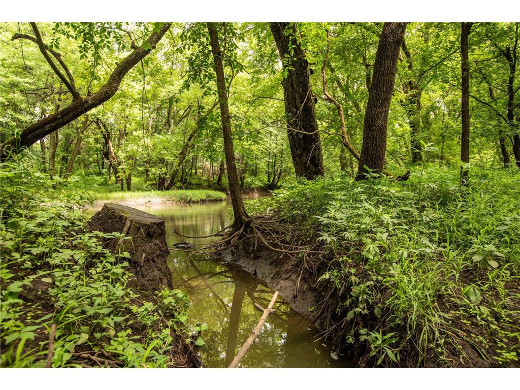 TBD MN Highway 30 Westfield Twp MN 55917 6712504 image11