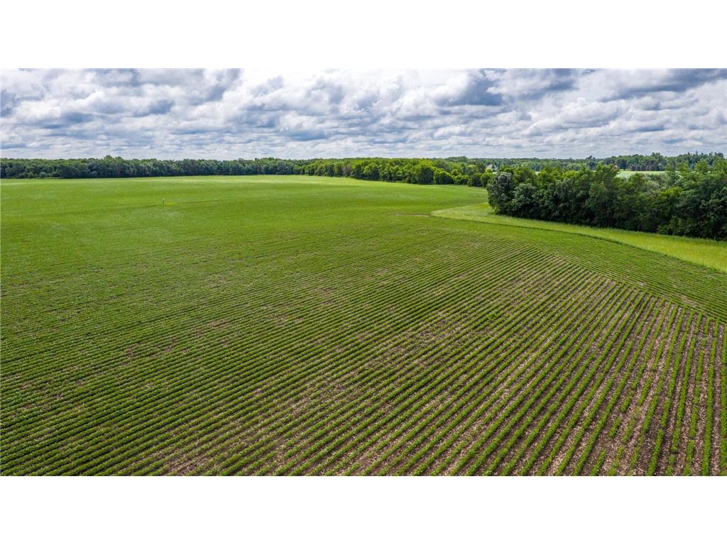 TBD MN Highway 30 Westfield Twp MN 55917 6712504 image5