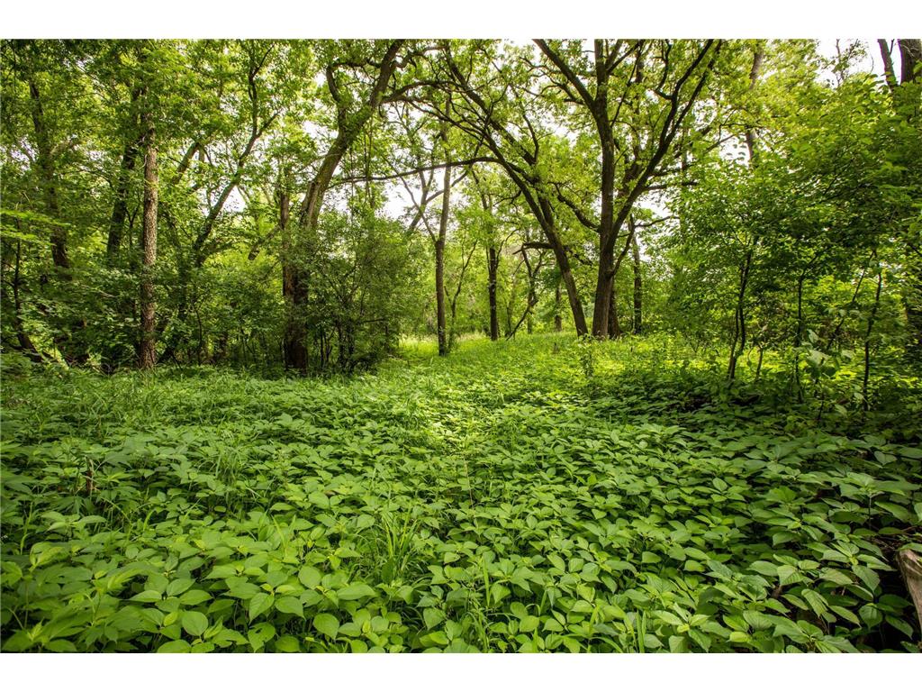 TBD MN Highway 30 Westfield Twp MN 55917 6712504 image8