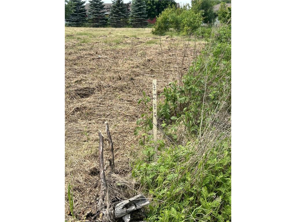 TBD Main Ave S Park Rapids MN 56470 7103287 image4