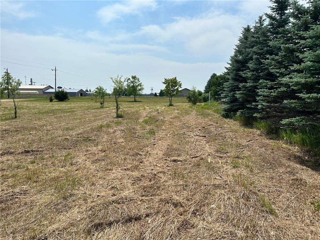 TBD Main Ave S Park Rapids MN 56470 7103295 image3
