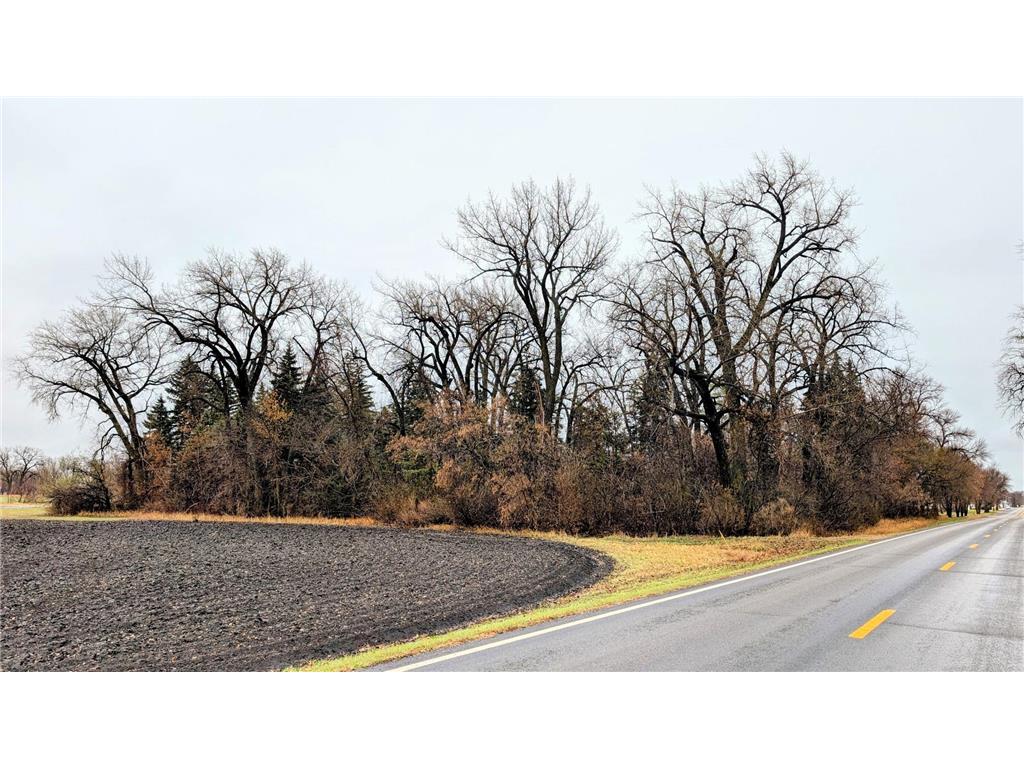 TBD Main Saint Thomas ND 58276 6770803 image1