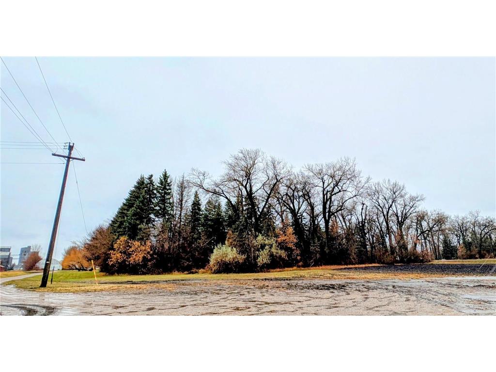 TBD Main Saint Thomas ND 58276 6770803 image3