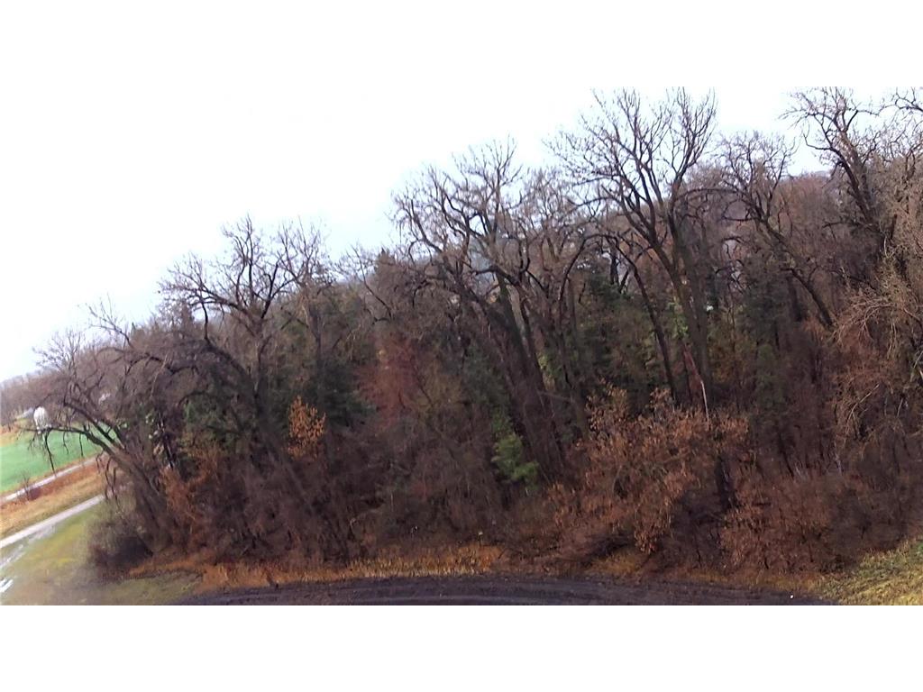 TBD Main Saint Thomas ND 58276 6770803 image8