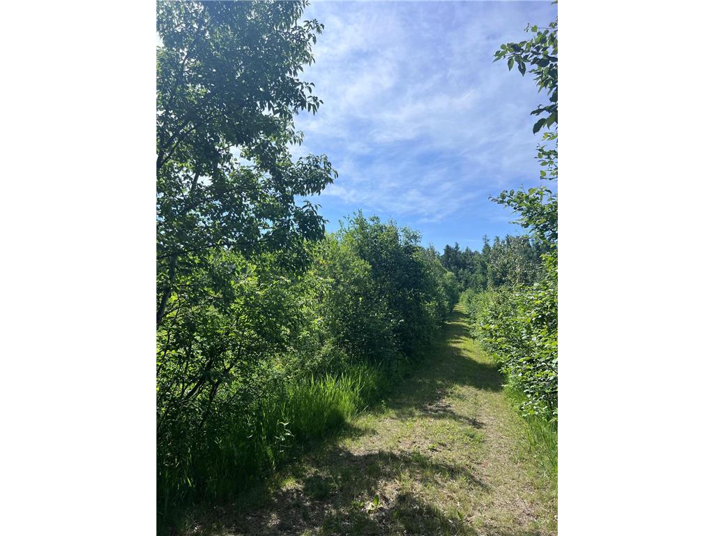 TBD Main Street E Menahga MN 56464 7106934 image1