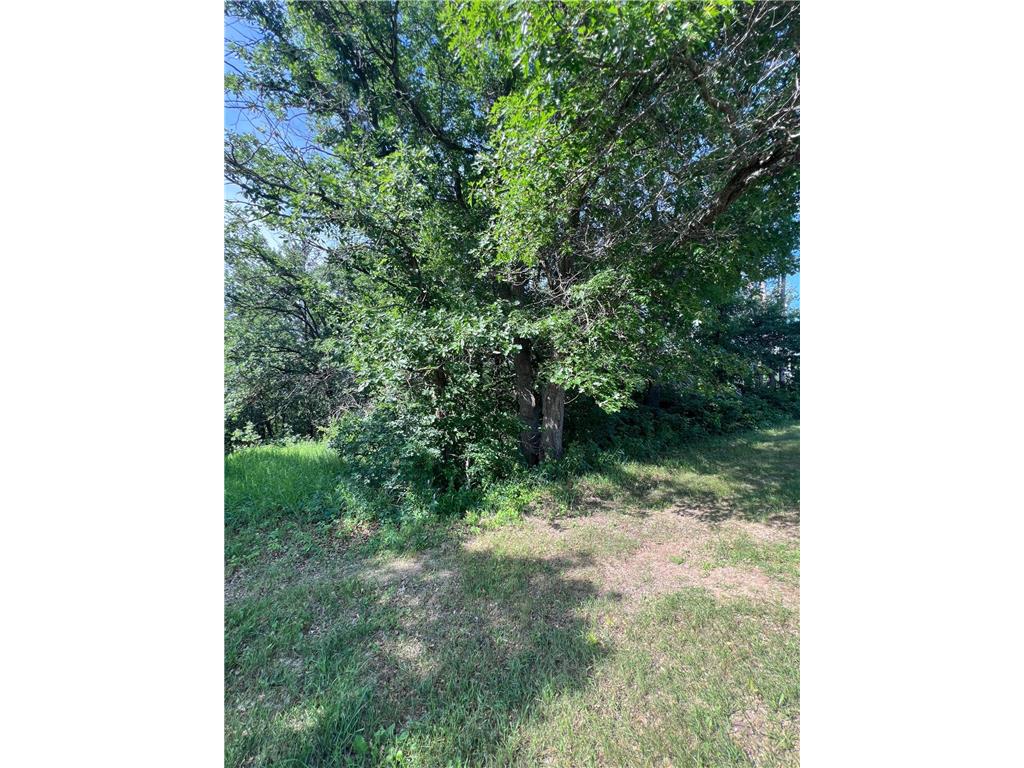 TBD Main Street E Menahga MN 56464 7106934 image10