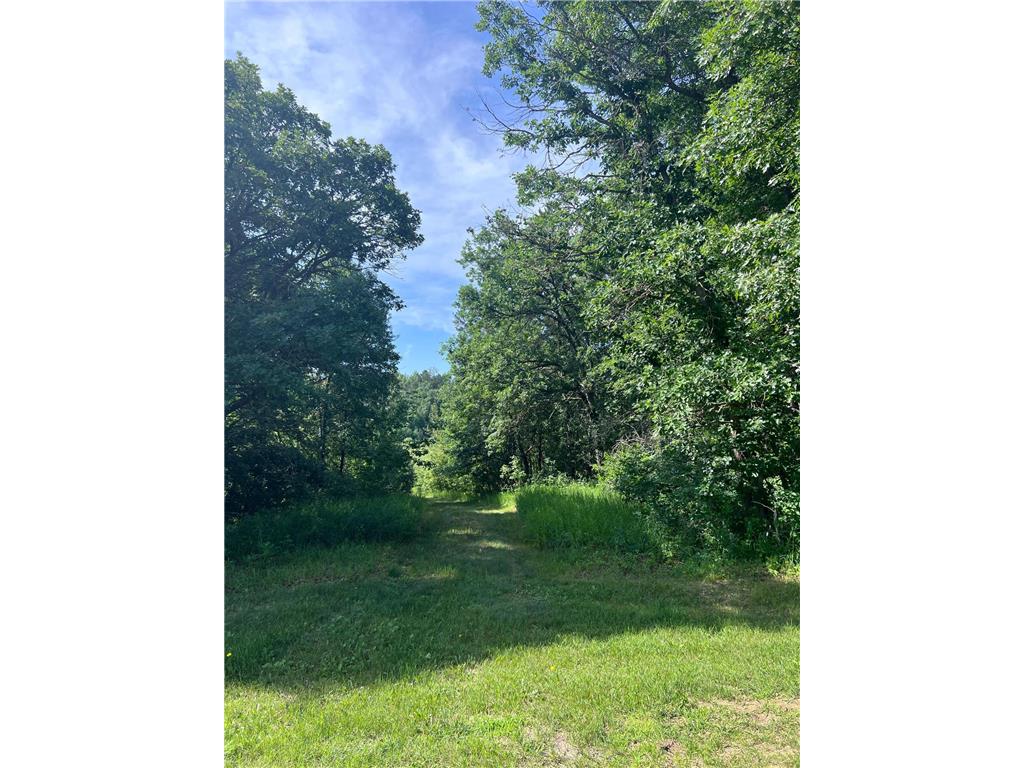 TBD Main Street E Menahga MN 56464 7106934 image2
