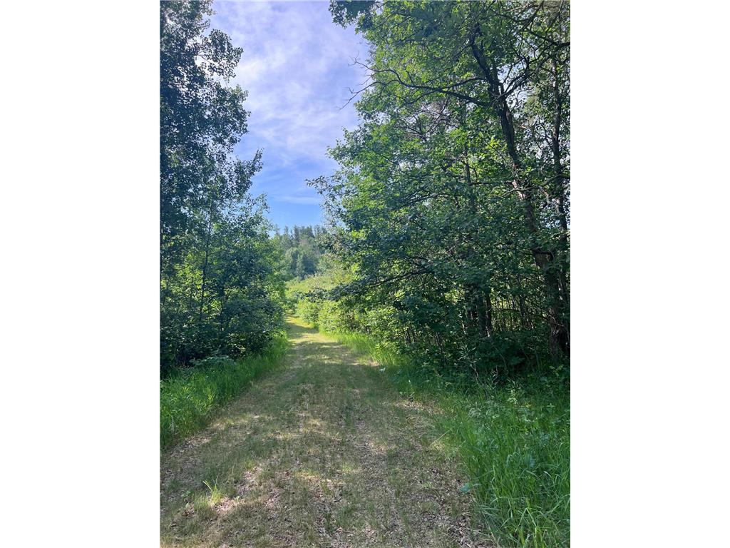 TBD Main Street E Menahga MN 56464 7106934 image3