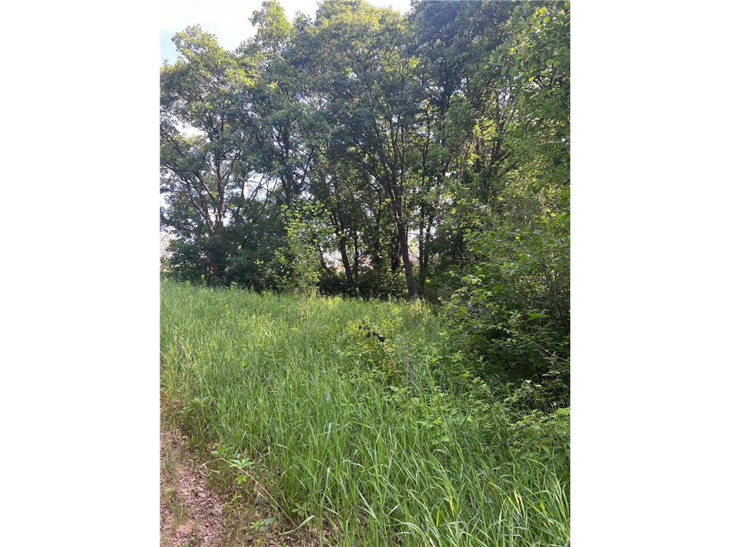 TBD Main Street E Menahga MN 56464 7106934 image6