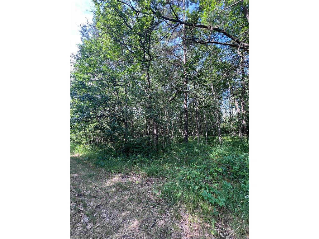 TBD Main Street E Menahga MN 56464 7106934 image7