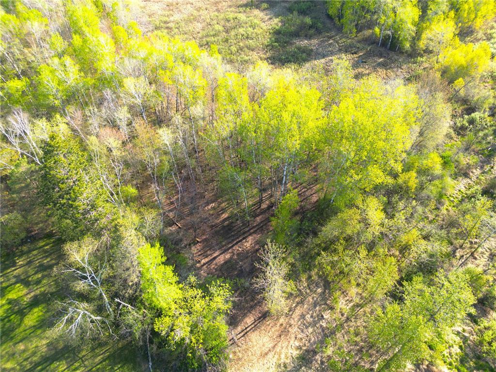 TBD Mallard Place Sandstone MN 55072 6720113 image11