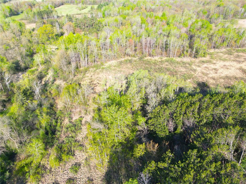 TBD Mallard Place Sandstone MN 55072 6720113 image7