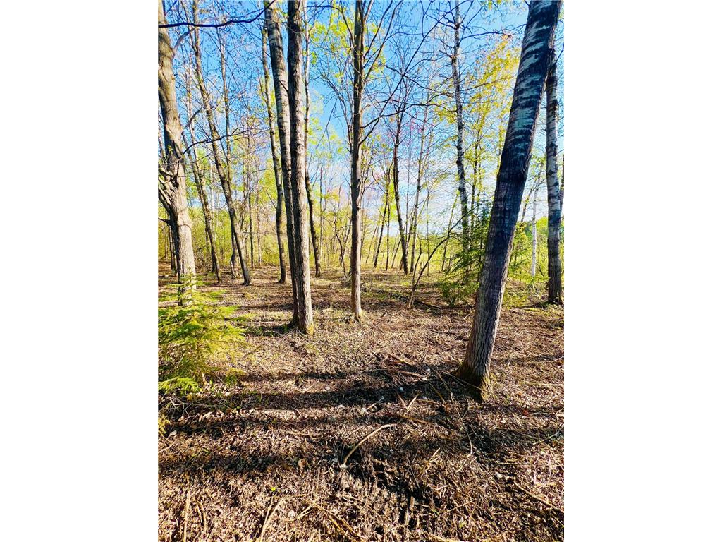 TBD Mallard Place Sandstone MN 55072 7046576 image1