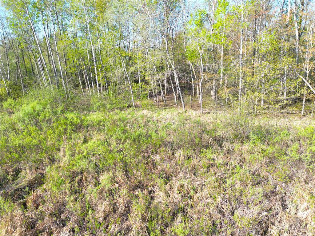 TBD Mallard Place Sandstone MN 55072 7046576 image13