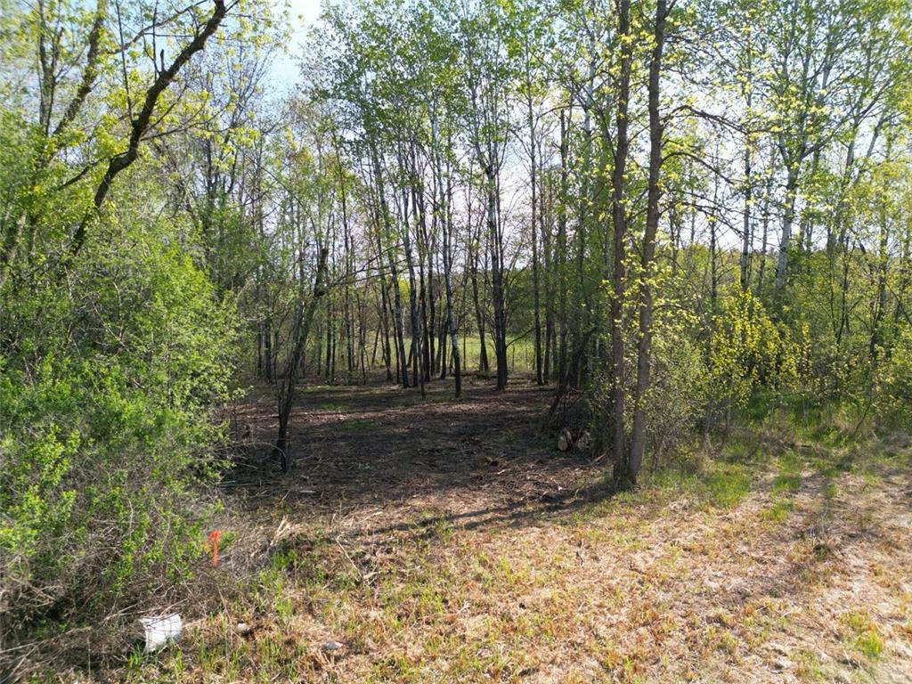 TBD Mallard Place Sandstone MN 55072 7046576 image16