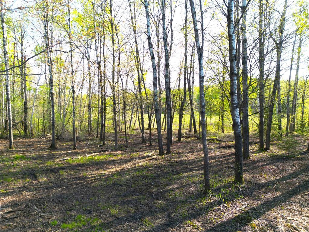TBD Mallard Place Sandstone MN 55072 7046576 image17