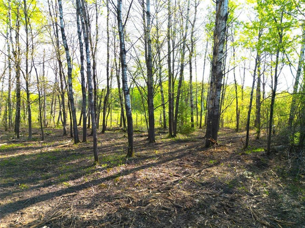 TBD Mallard Place Sandstone MN 55072 7046576 image18