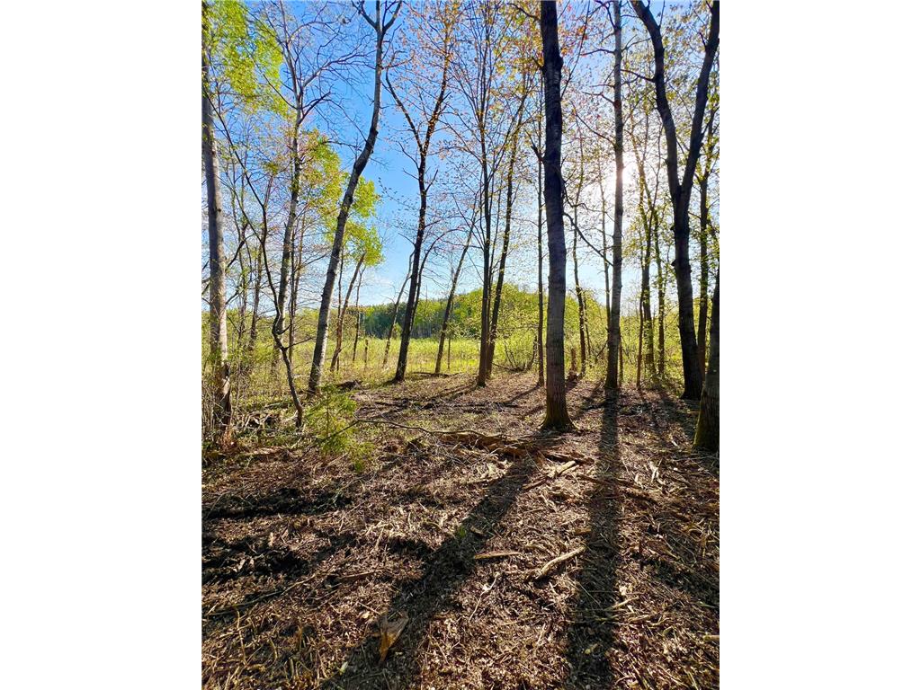 TBD Mallard Place Sandstone MN 55072 7046576 image2