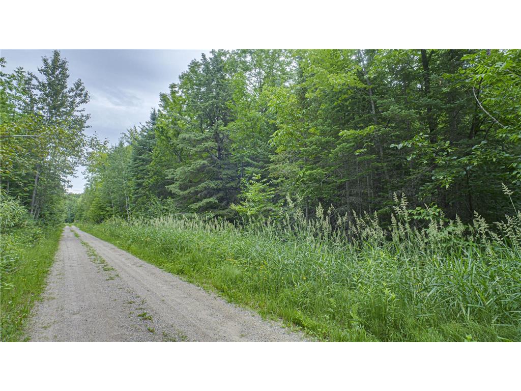 TBD Mallum Drive Trout Lake Twp MN 55709 6747671 image1