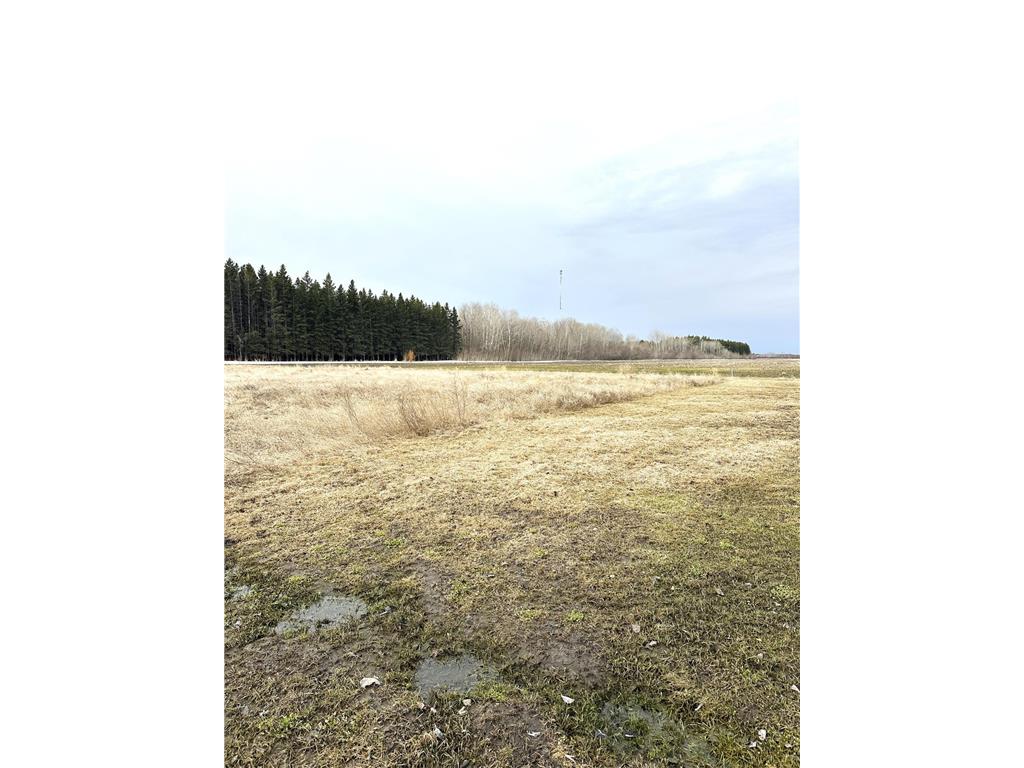 TBD Maple Drive NW Baudette MN 56623 - Rainy River 6705297 image5