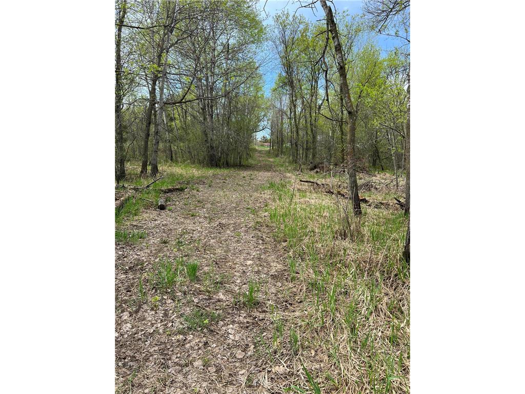 TBD Maple Street N Royalton MN 56373 - Platte River 7059021 image13
