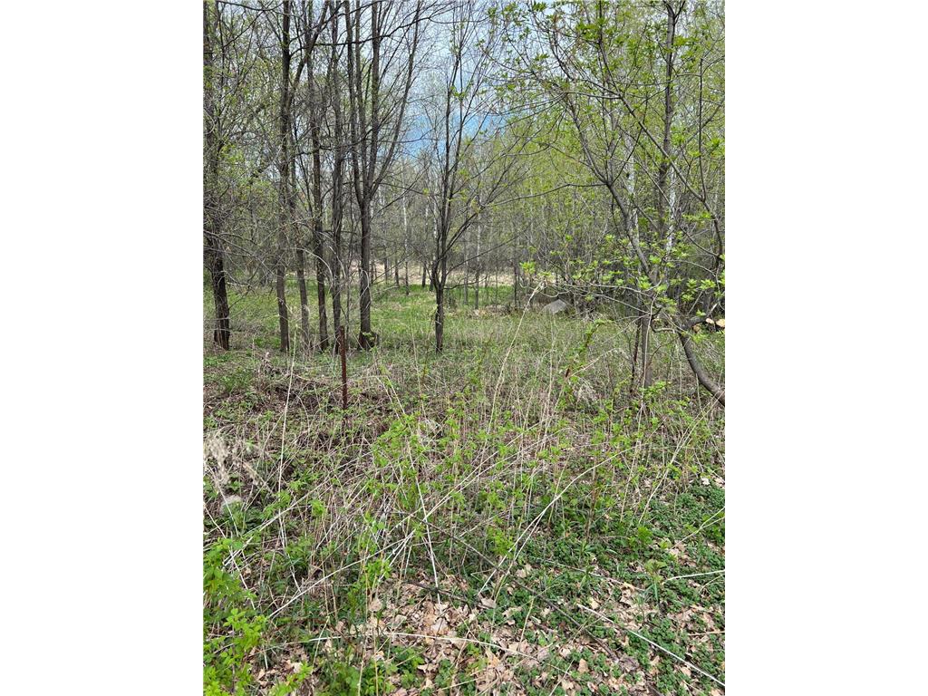 TBD Maple Street N Royalton MN 56373 - Platte River 7059021 image3
