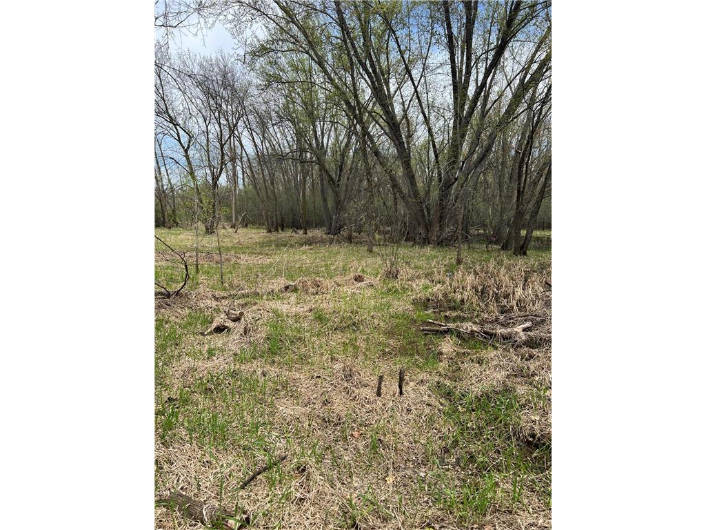 TBD Maple Street N Royalton MN 56373 - Platte River 7059021 image4