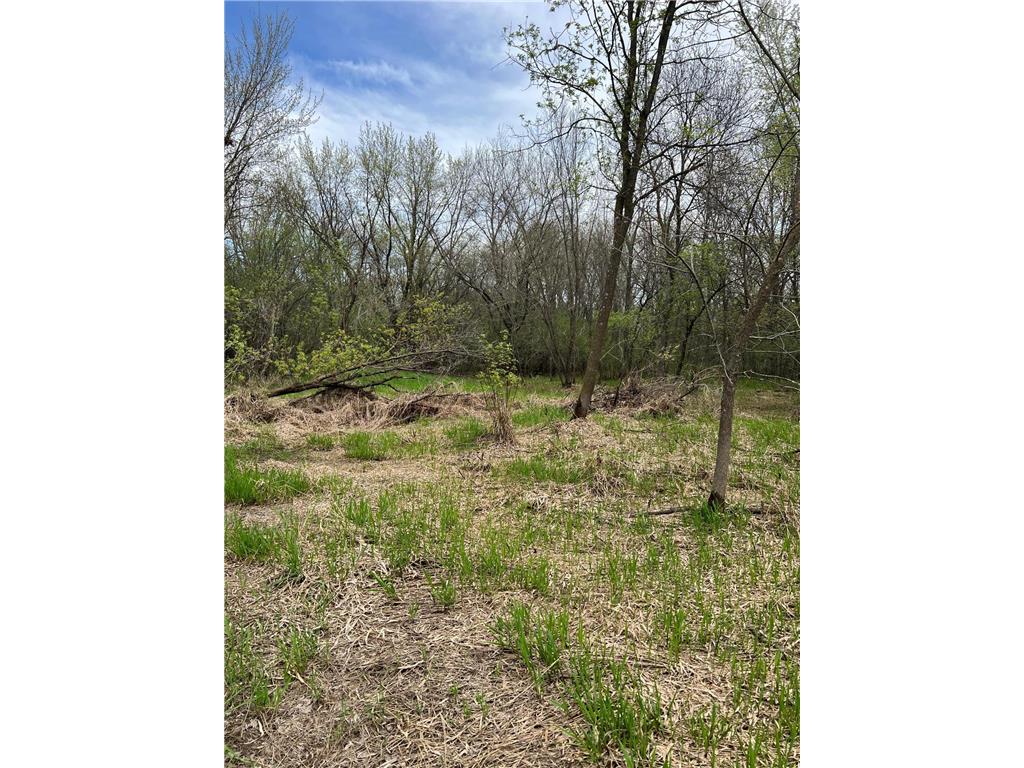 TBD Maple Street N Royalton MN 56373 - Platte River 7059021 image5