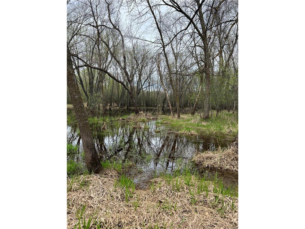 TBD Maple Street N Royalton MN 56373 - Platte River 7059021 image6