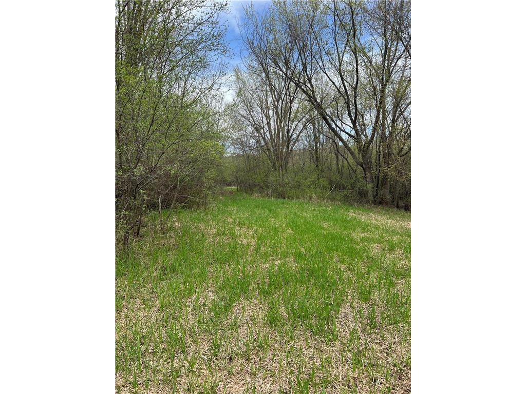TBD Maple Street N Royalton MN 56373 - Platte River 7059021 image7