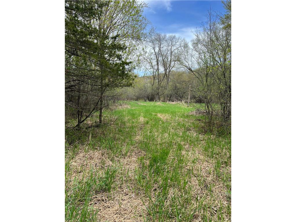 TBD Maple Street N Royalton MN 56373 - Platte River 7059021 image8