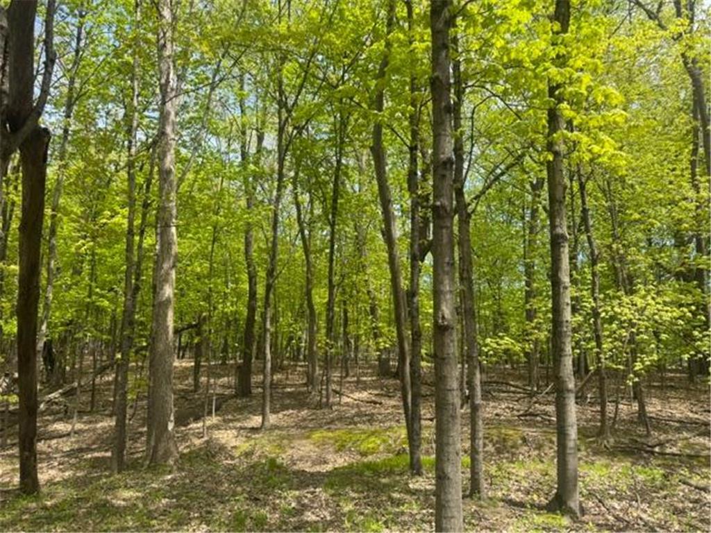 TBD Maple View Court Shorewood MN 55331 7085403 image2