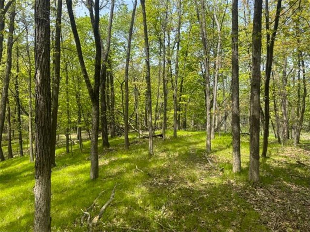 TBD Maple View Court Shorewood MN 55331 7085403 image3