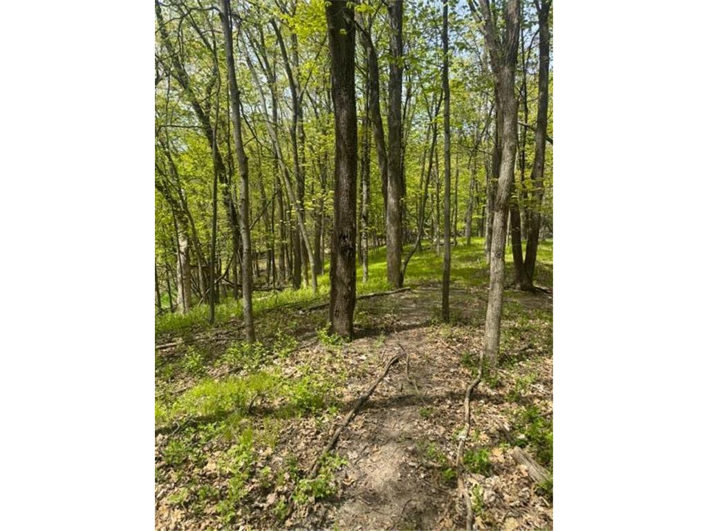 TBD Maple View Court Shorewood MN 55331 7085403 image4