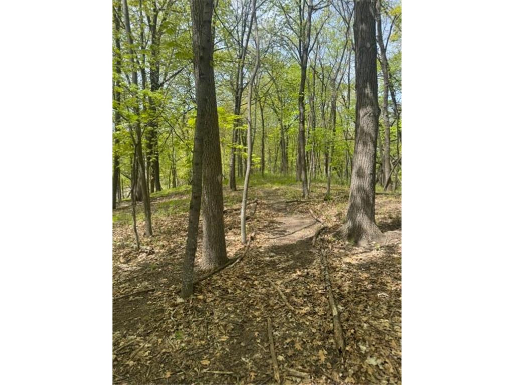 TBD Maple View Court Shorewood MN 55331 7085403 image5