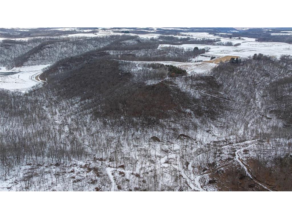 TBD Maplewood Lane Belvidere Twp WI 54610 7040303 image12