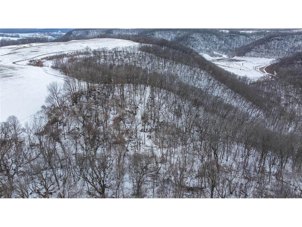 TBD Maplewood Lane Belvidere Twp WI 54610 7040303 image14