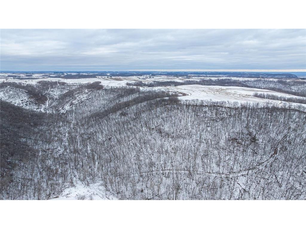 TBD Maplewood Lane Belvidere Twp WI 54610 7040303 image22