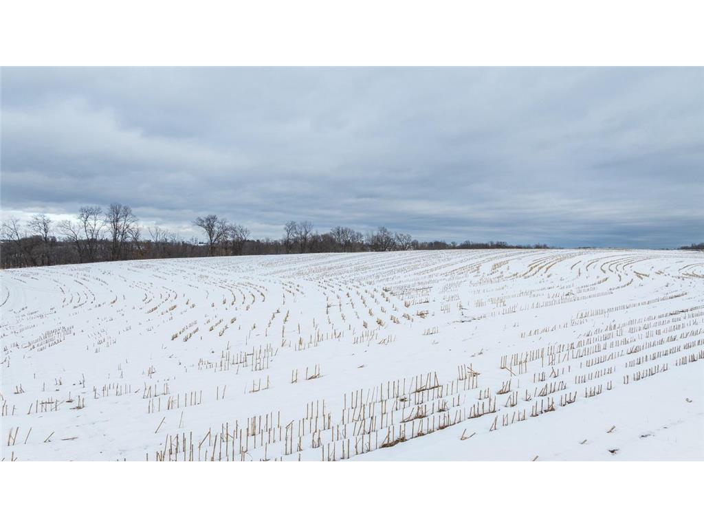 TBD Maplewood Lane Belvidere Twp WI 54610 7040303 image4