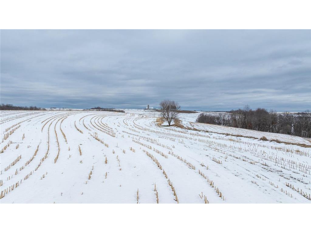 TBD Maplewood Lane Belvidere Twp WI 54610 7040303 image6